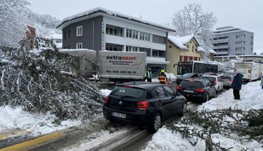 Verkehrsteilnehmer im Glück