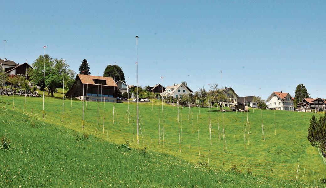Im Gebiet Unterer Werdbüchel in Heiden sollen mehrere Mehrfamilien- und Einfamilienhäuser gebaut werden.