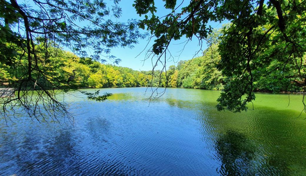 Naturpark Maksimir Zagreb