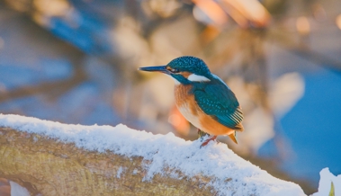 Im perfekten Anzug für die Wintertage unterwegs