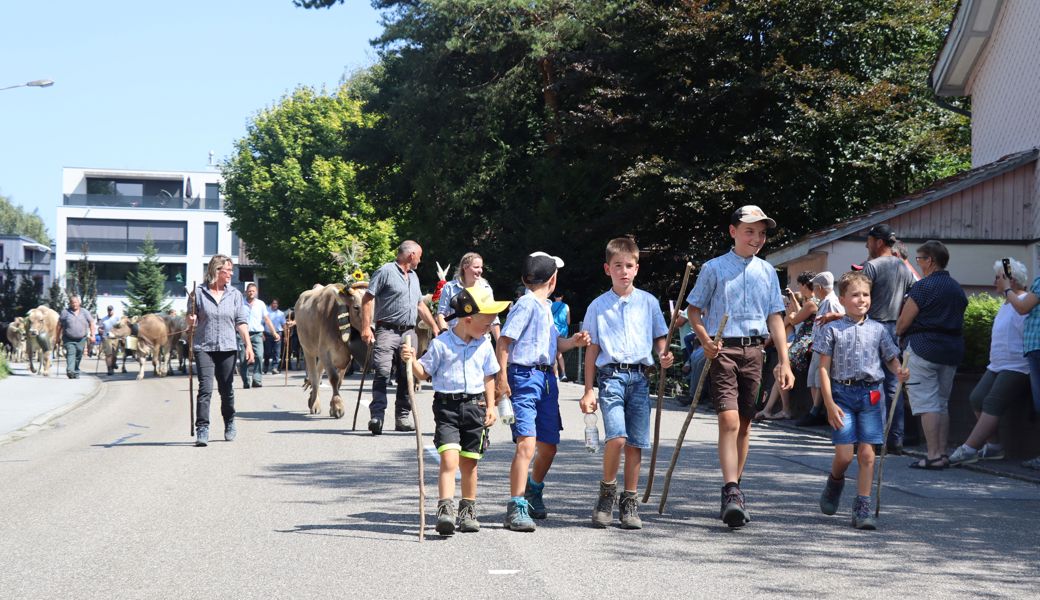 Der Alpsommer ist vorüber - Bilder von der Alpabfahrt in Rüthi