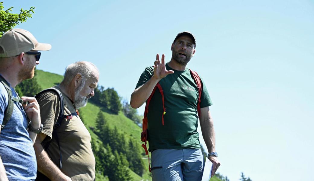 Der Stauberenfirst – Spannungsfeld zwischen Wald, Wild und Wandel