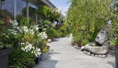 Garten: Terrasse überlegt gliedern