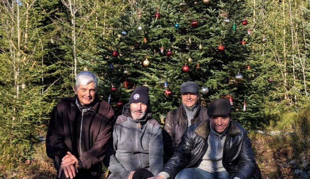 Schmücken den Weihnachtsbaum oberhalb der Forsthütte Richtung Unterer Gäbris seit zwei Jahren zur Freude unzähliger Wanderer (von links): René (Freund von Luciano Soave), die Schwiegersöhne Gunter und Stefan sowie Enkel Mario.