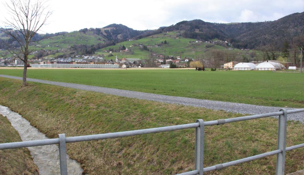 In dieser Wiese in Lüchingen hätte für die Ostumfahrung ein Kreisel entstehe sollen.