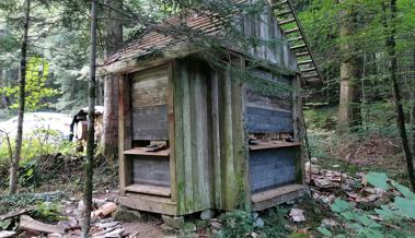 Dach eines Bienenhäuschens im Wald mutwillig zerstört