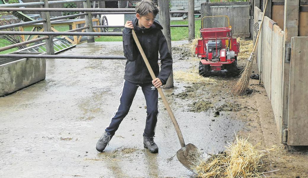 Sebastian Anderegg macht die Arbeit mit Tieren und im Stall Spass. Die kommenden zwei Wochen hat der 14-jährige Walliseller genug Möglichkeiten, die Aufgaben auf einem Bauernhof kennenzulernen. 
