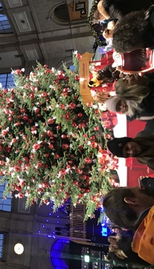 Frauengemeinschaft besuchte den Zürcher Weihnachtsmarkt