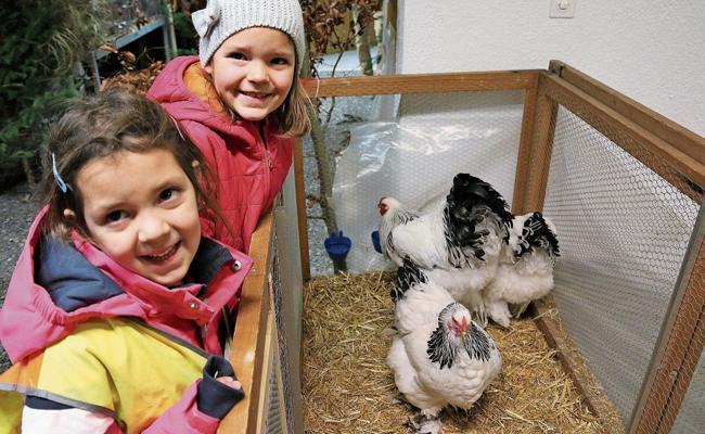 Fell und Federn lösen Jö-Effekt aus