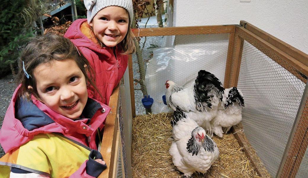 Malin (vorne) und Jael Lüchinger aus Kobelwald finden an allen Tieren Gefallen. 