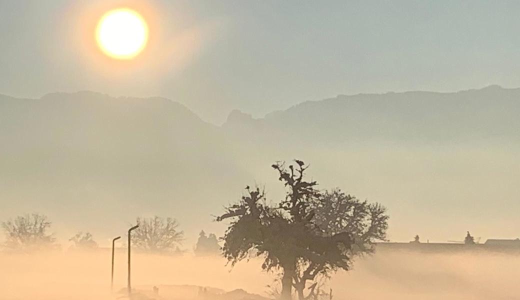 R. Weyrich fotografierte am Samstagmorgen in Berneck.