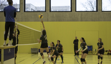 Rheno-Teams stehen vor richtungsweisenden Spielen in Heerbrugg