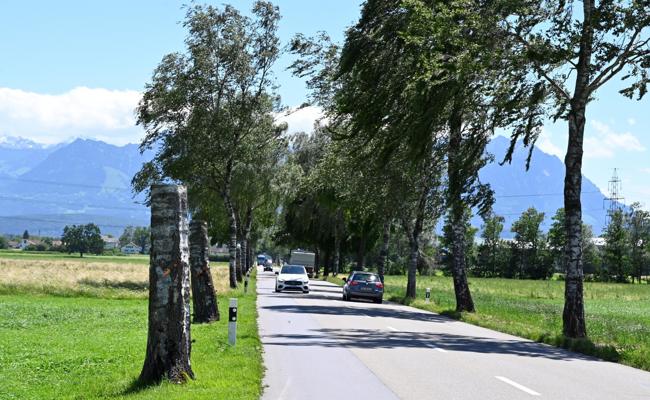 «Kurathioses» Mahnmal