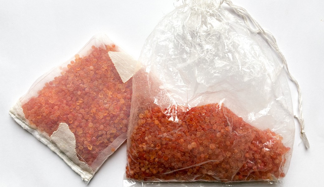 Saatgut richtig lagern:  So schützen Trockenheit und Silicagel die Keimkraft