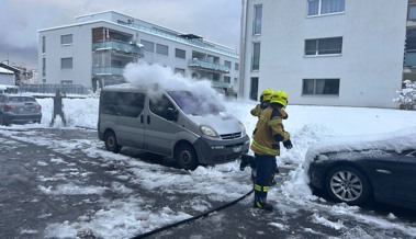 Auto in St. Margrethen komplett ausgebrannt