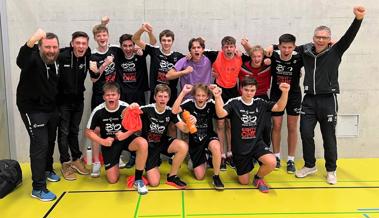 Ein erstmaliger Aufstieg für die Rheintaler Handballer