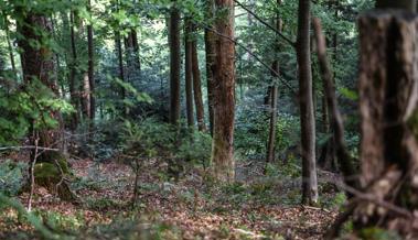 Schwerpunkt bei der Waldbiodiversität