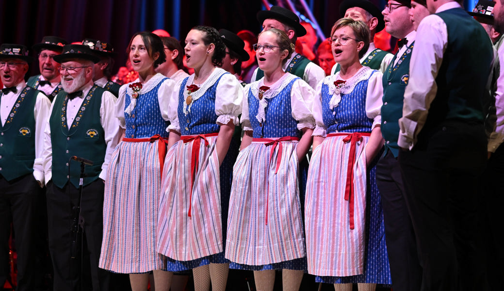 Musikverein trifft bei  «Music-Night» auf Popmusik und Jodlerklub