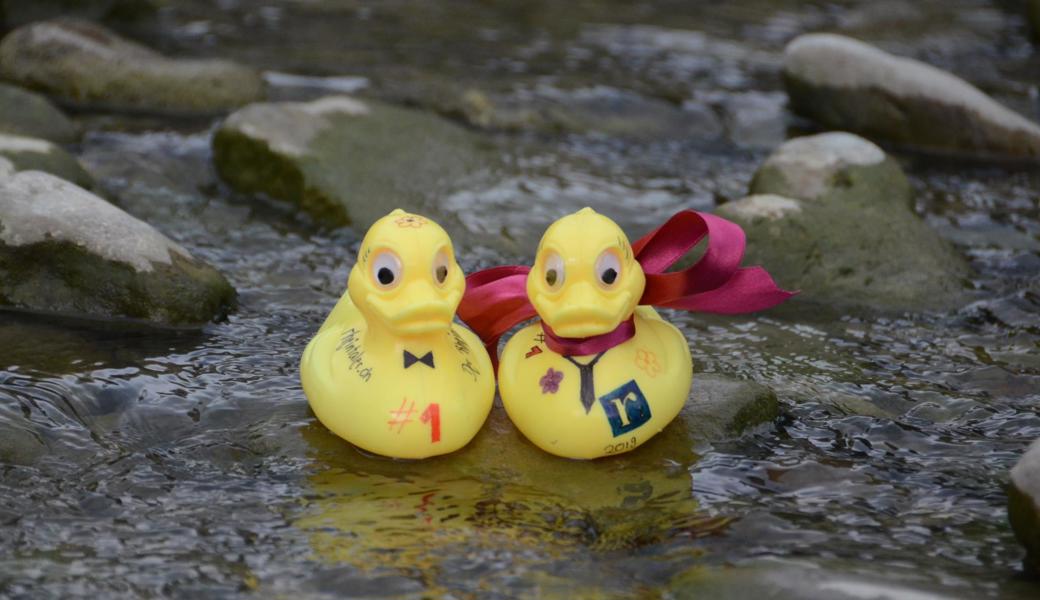 3000 Plastikenten werden den Kanal hinunterschwimmen.