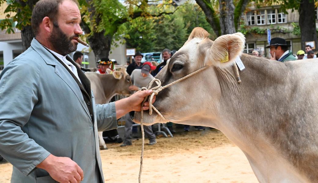 Gewinnt sie? Karl Räss 2019 mit einer seiner schönsten Kühe während der Endausmarchung im Ring.