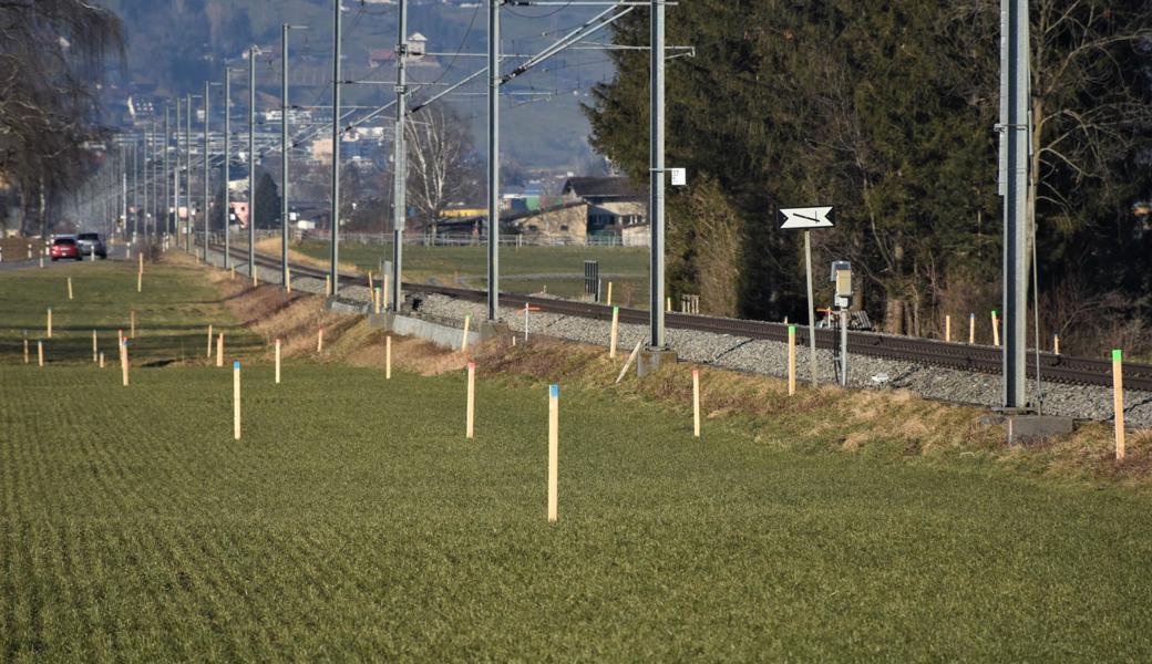 Ein Gewirr kleiner Visiere beim Bahnübergang Altstätterstrasse in Oberriet markiert den geplanten Streckenverlauf der Doppelspur.