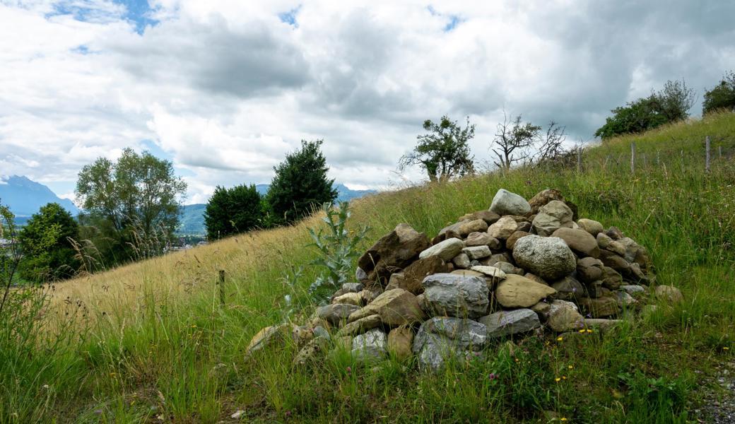 Steinhaufen und andere Kleinstrukturen bieten zahlreichen Tierarten einen wichtigen Lebensraum. 