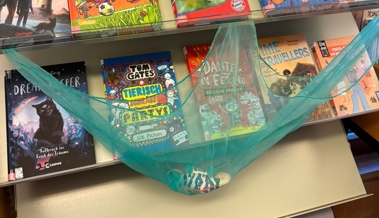 Kuscheltierparty in der Bibliothek begeistert