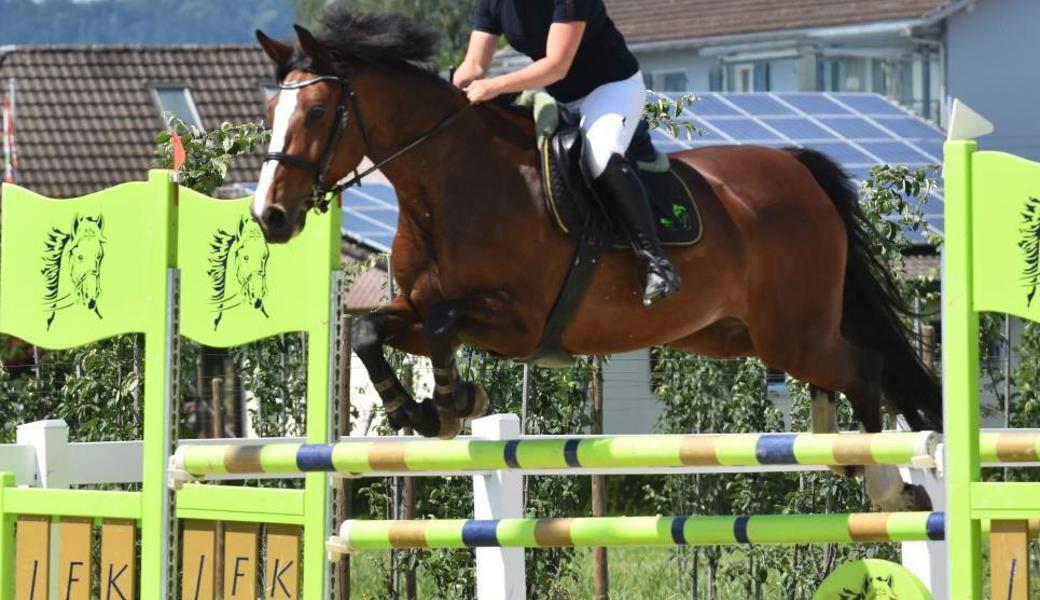 Parcoursbauerin Sarah Heule nimmt selbst am Springen teil.