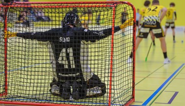 Rheintal Gators starten mit dem Derby gegen Herisau ins neue Jahr