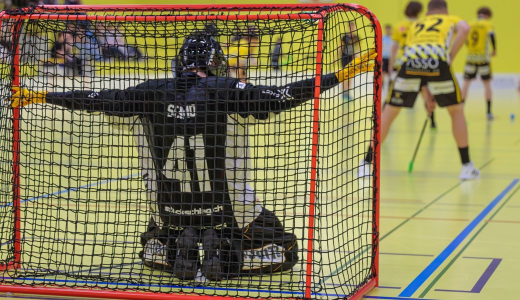 Rheintal Gators starten mit dem Derby gegen Herisau ins neue Jahr