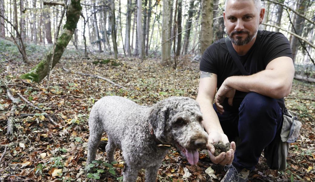 Jan Koch und sein Lagotto Beno suchen jede Woche die gleichen Fundorte ab – und beliefern Spitzenkoch Agron Lleshi mit frischen Trüffeln. 