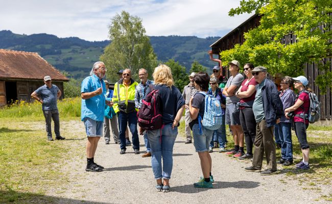 Blumenwiesen, Kuckuckrufe, Storchenbabys - Ein Tag voller Naturerlebnisse