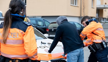 Mutmasslicher Einbrecher war betrunken und auf einem gestohlenem E-Bike unterwegs