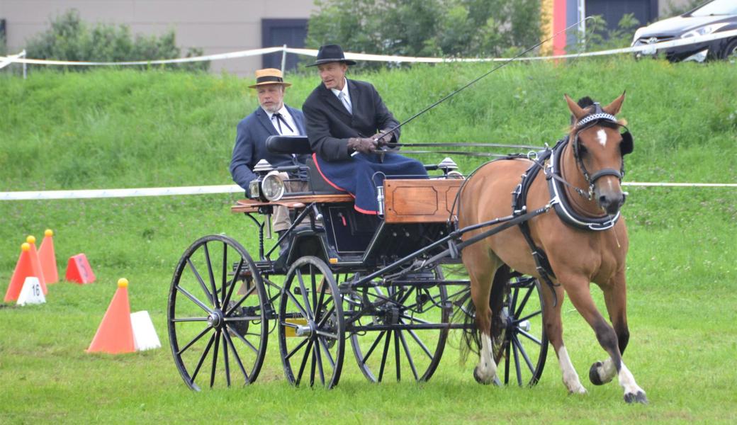 Die drei Gespanne der Equipe des Pferdezuchtvereins Rheintal und Umgebung starten am Sonntag in Kriessern zum zweiten Qualifikationsturnier des OKV-Fahrcups.