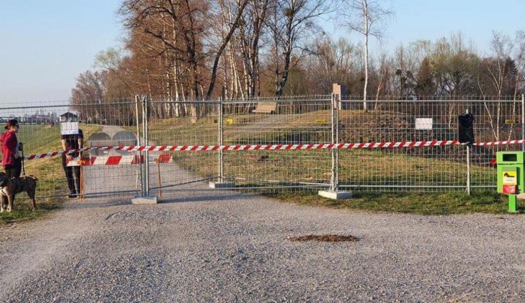 Auch ein Spaziergang am Rheindamm endet an der Grenze zwischen der Schweiz und Österreich. 