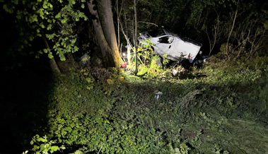Nach Selbstunfall mit Lieferwagen: Beifahrer verstirbt auf der Unfallstelle