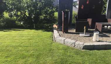 Besuch vom Fuchs: Was ist zu tun, wenn Meister Reineke plötzlich im Garten steht?