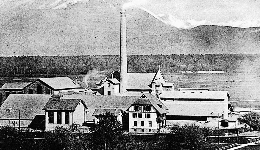 Das Areal der Zementfabrik Rüthi (in Betrieb von 1908 bis 1914) auf einer Postkarte. Rechts im Vordergrund das «Bureaugebäude» mit dem charakteristischen Fusswalm.