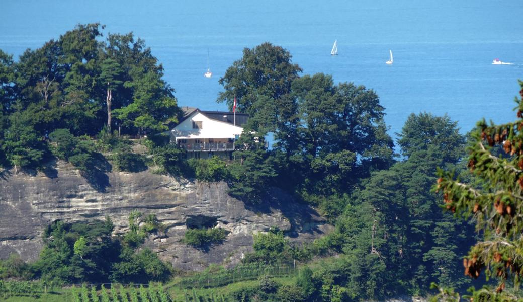 Auch eine Wanderung, unter anderem zum steinigen Tisch in Rheineck ist beschrieben.