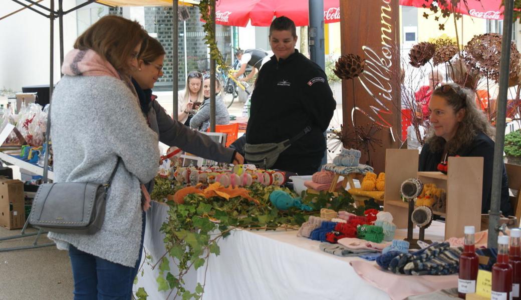 Gallery Large Hidpi DSC07839 Gallery Large Hidpi DSC07839