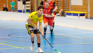 Rheintal Gators entscheiden Derby in Appenzell 8:2 für sich