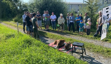 Grosses Interesse trotz Hitze: Erfolgreicher Öffentlichkeitstag im Naturschutzgebiet