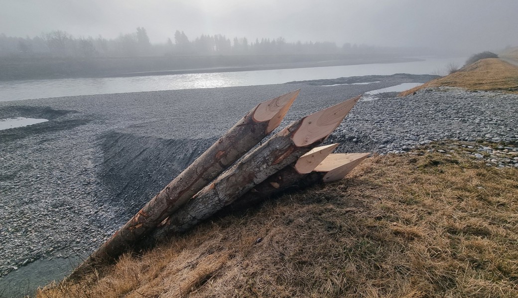 Sperrung am Rheinvorland: Darum werden acht Meter lange Holzpfähle in den Fluss gerammt