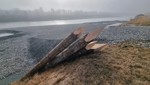 Sperrung am Rheinvorland: Darum werden acht Meter lange Holzpfähle in den Fluss gerammt