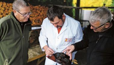 Züchter liessen ihre Tiere bewerten