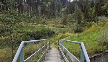 Es kann gar nicht zu garstig sein: Aus dem Berg- einen Matschlauf machen