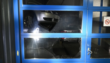 Autodiebe schlagen erneut im Rheintal zu