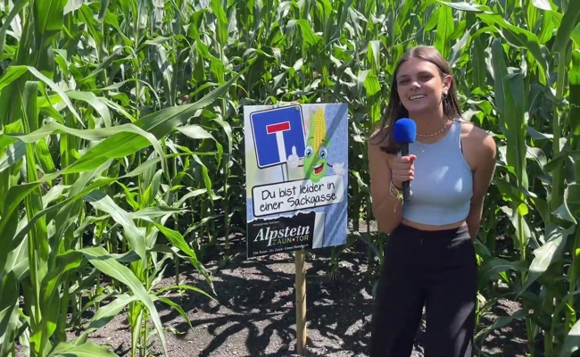 Auf Indiana Jones' Spuren: Es gibt wieder ein Mais-Labyrinth