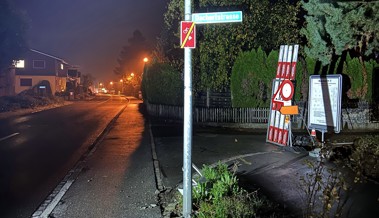 Betrunkener Mann fährt in Strassenlampe - Jetzt ist er den Führerschein los