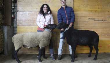 Zwei Schafe von Züchter Wüst erhielten das Punktemaximum